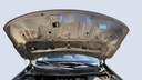 CAR HOOD