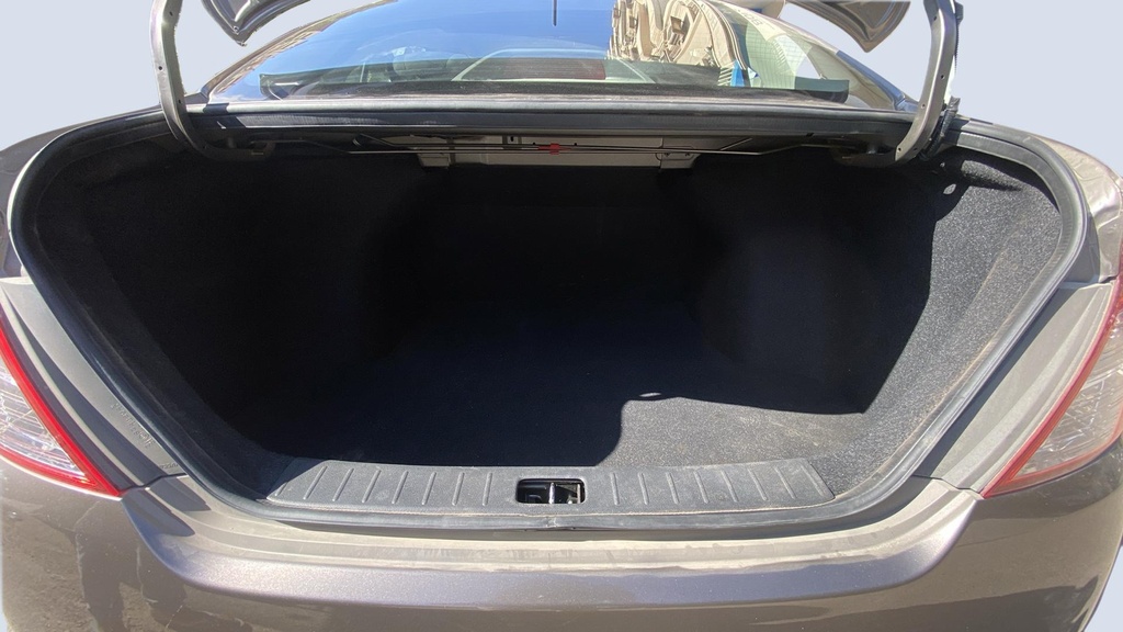 TRUNK