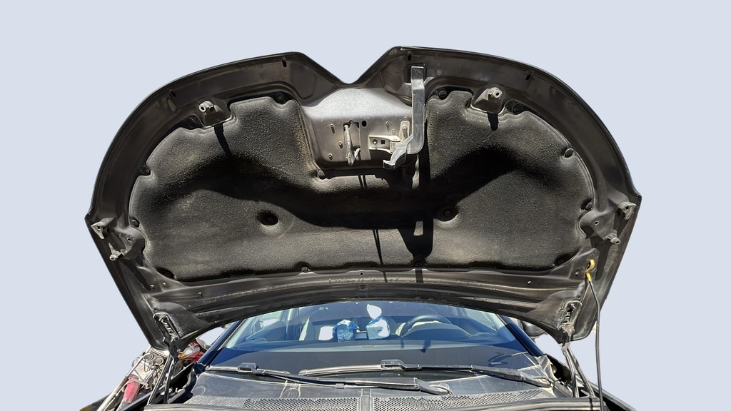 CAR HOOD