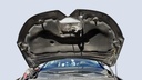 CAR HOOD