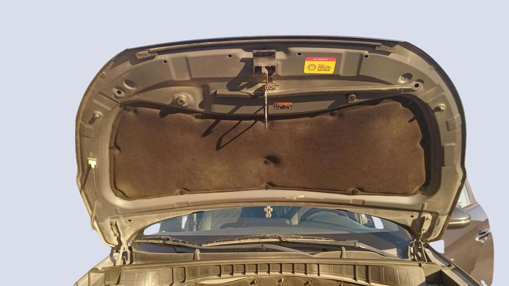 CAR HOOD
