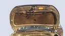 CAR HOOD