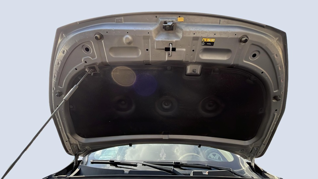 CAR HOOD