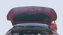 CAR HOOD