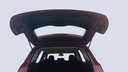 TRUNK HOOD