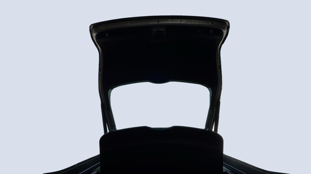 TRUNK HOOD