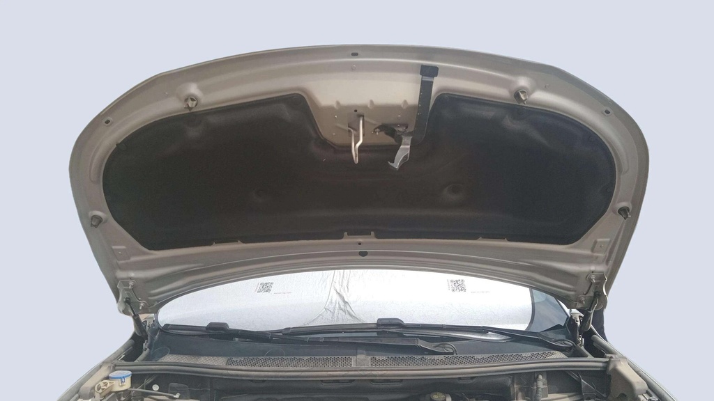 CAR HOOD