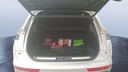 TRUNK