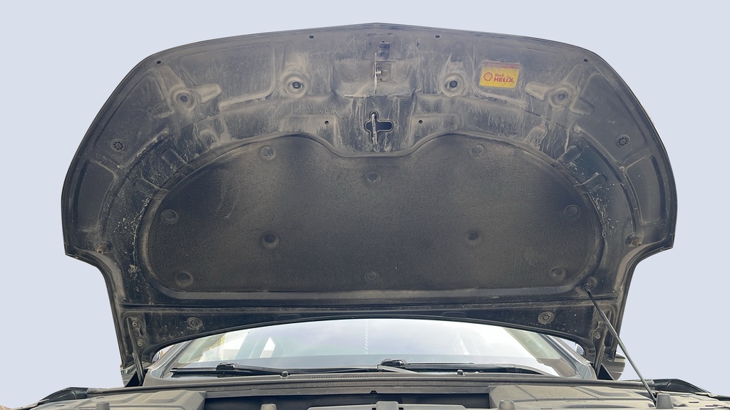 CAR HOOD