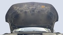 CAR HOOD