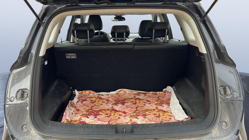 TRUNK