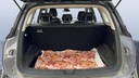 TRUNK