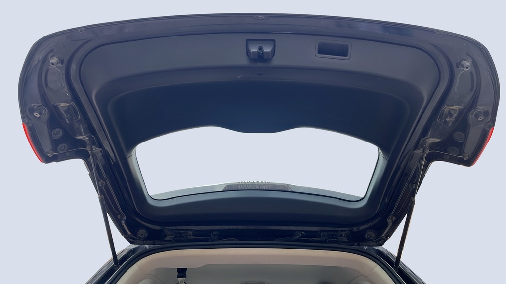 TRUNK HOOD