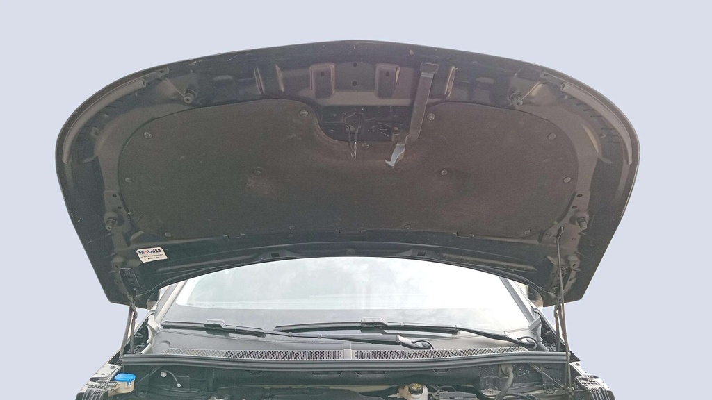 CAR HOOD