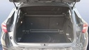 TRUNK