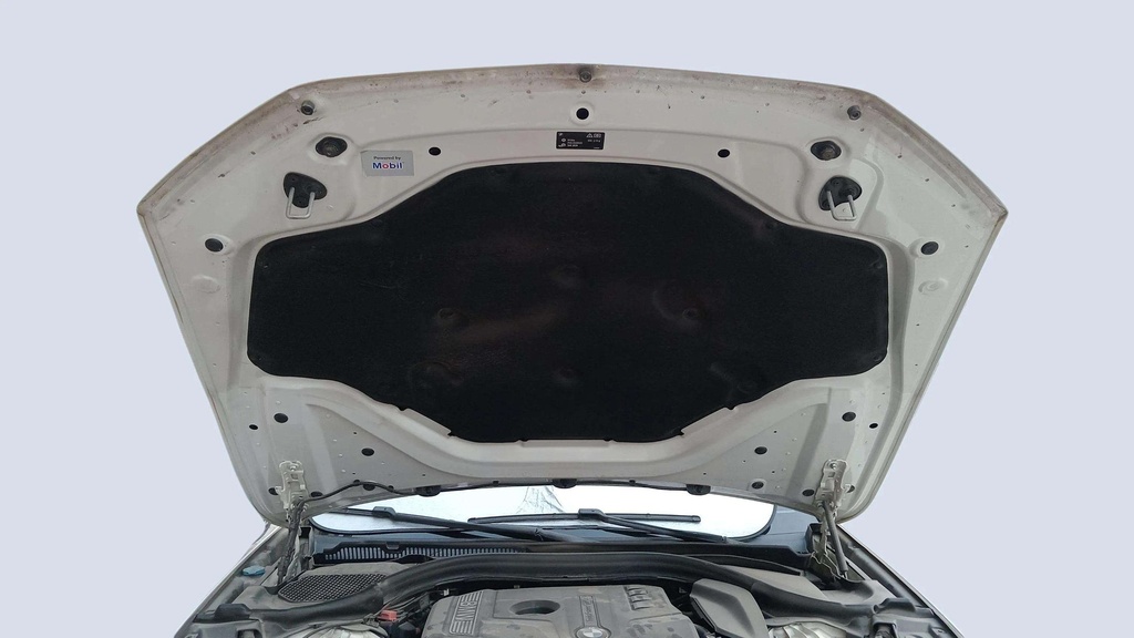 CAR HOOD