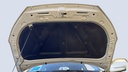 CAR HOOD