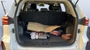 TRUNK