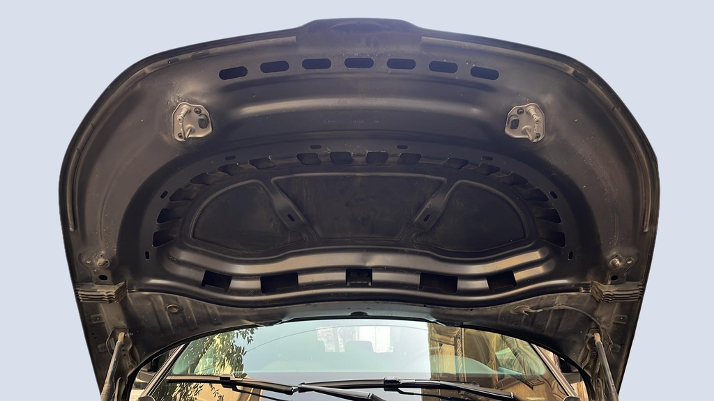 CAR HOOD