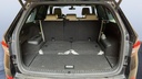 TRUNK