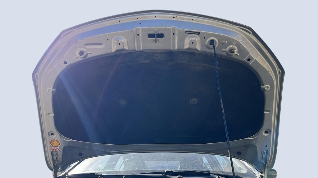 CAR HOOD