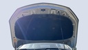 CAR HOOD
