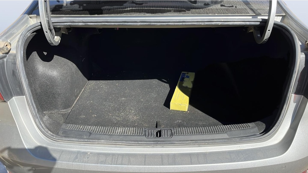 TRUNK