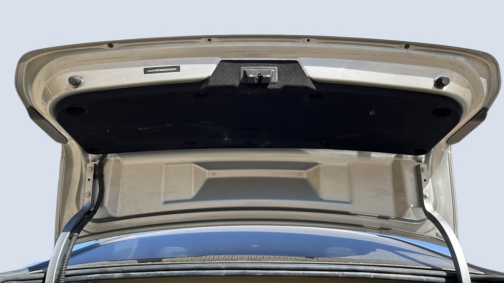 TRUNK HOOD