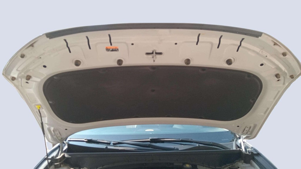CAR HOOD