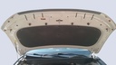 CAR HOOD