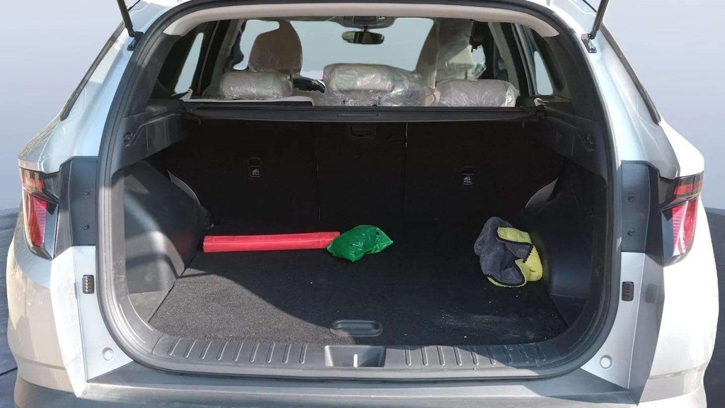 TRUNK