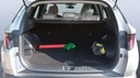 TRUNK
