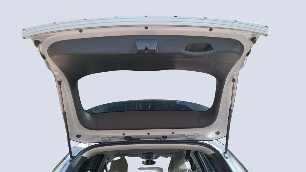 TRUNK HOOD