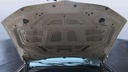 CAR HOOD