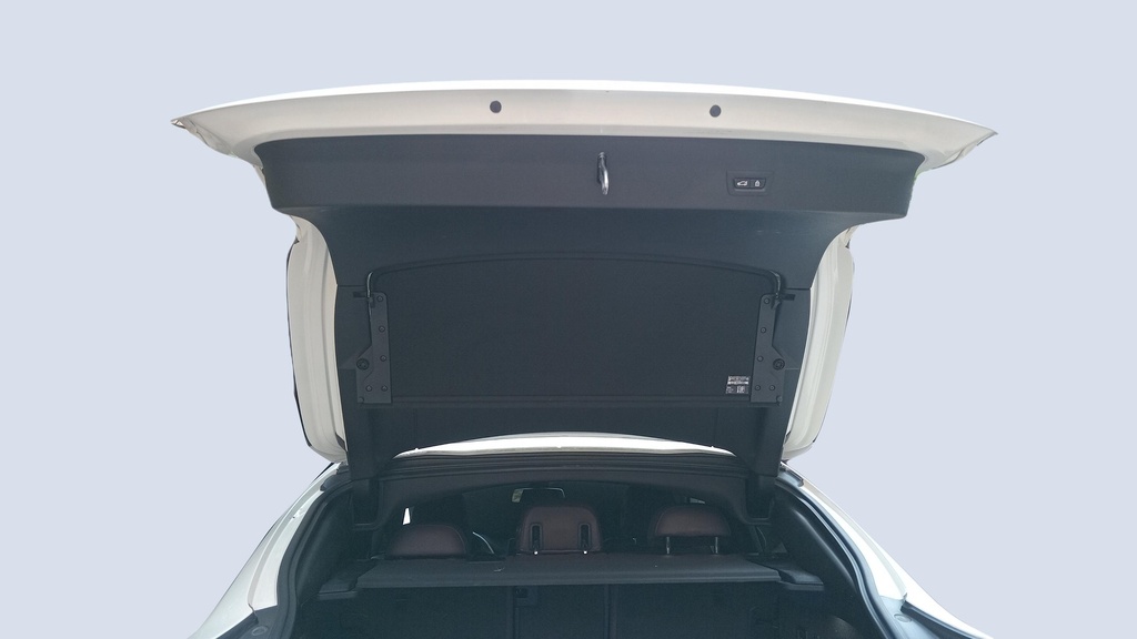 TRUNK HOOD