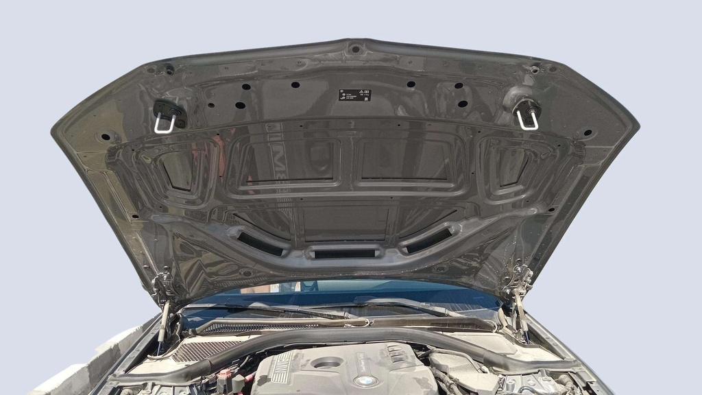 CAR HOOD
