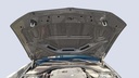 CAR HOOD