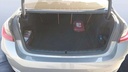 TRUNK