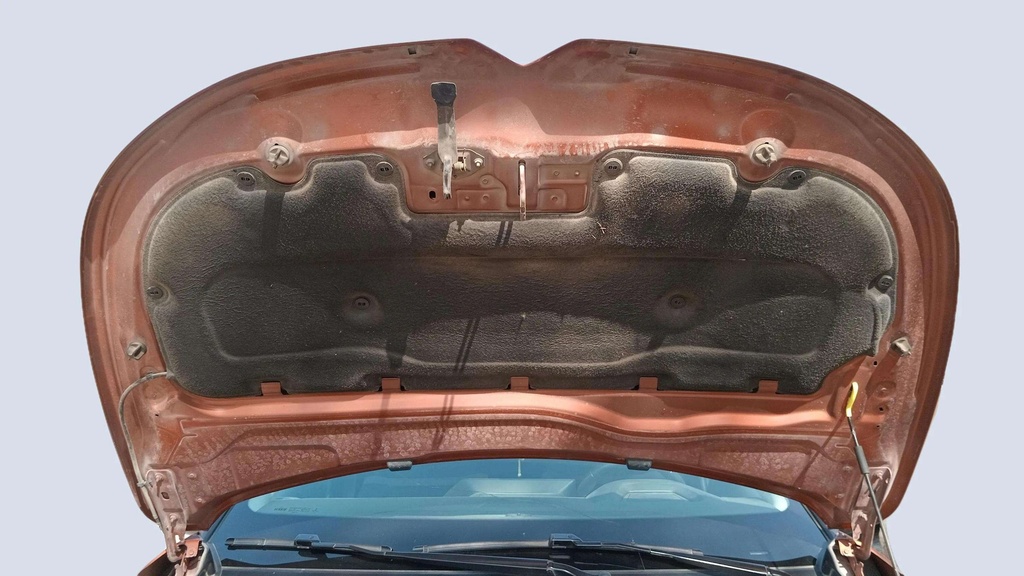 CAR HOOD