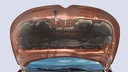 CAR HOOD