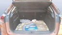 TRUNK