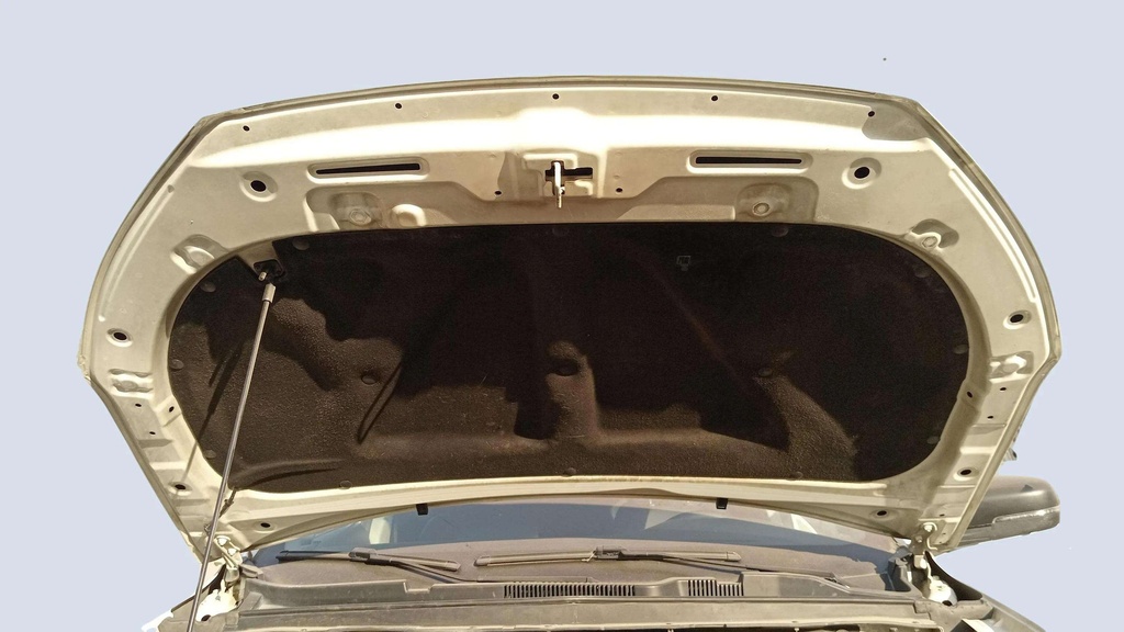 CAR HOOD