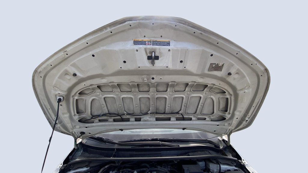 CAR HOOD