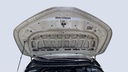 CAR HOOD