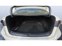 TRUNK