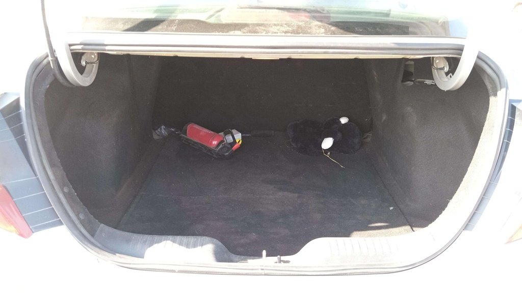 TRUNK