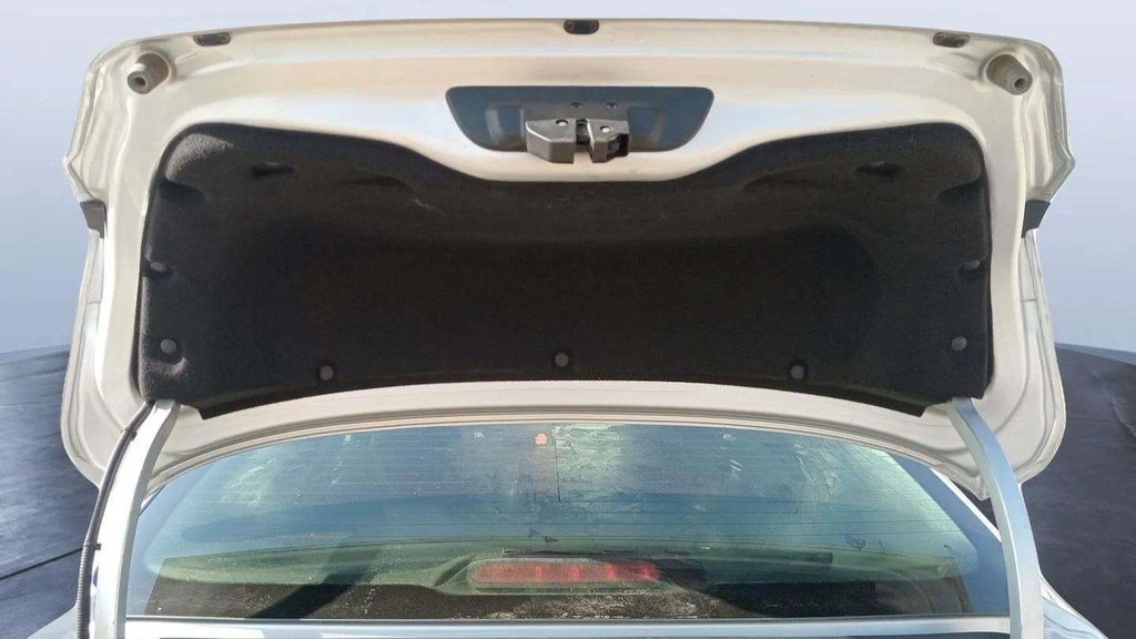 TRUNK HOOD