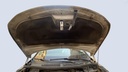 CAR HOOD