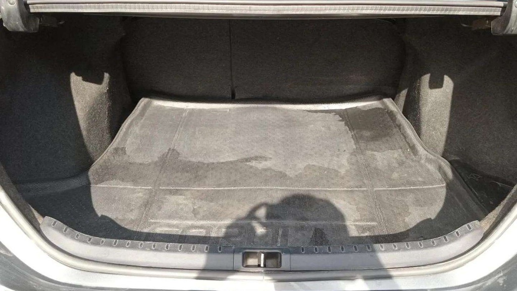 TRUNK