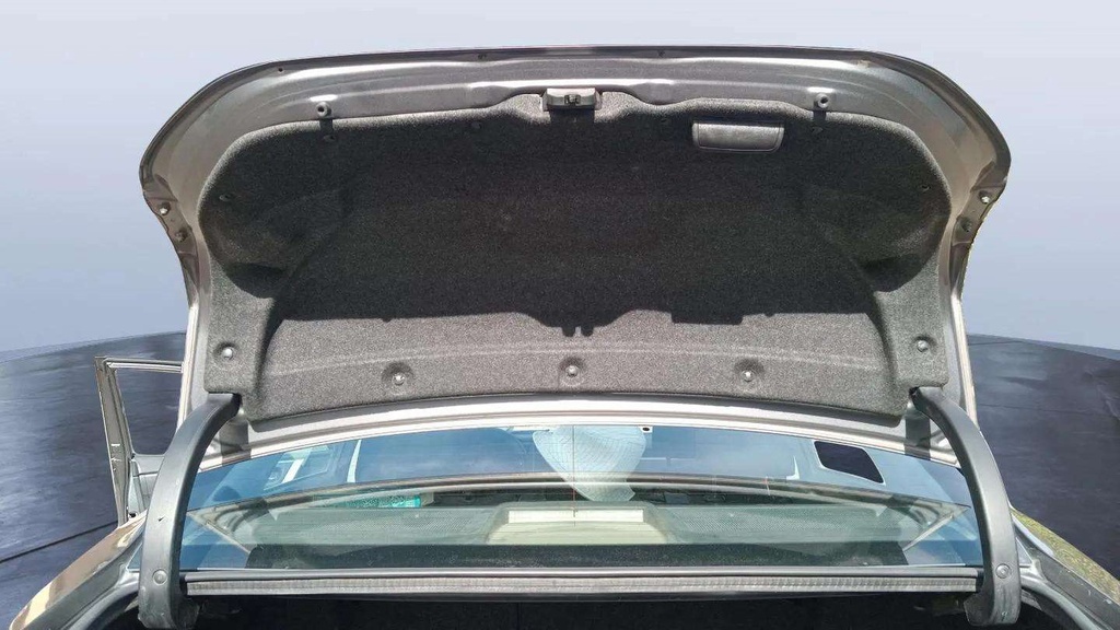 TRUNK HOOD